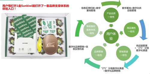 數字農業服務流于表面，基地數字化建設如何邁向深入與實效？